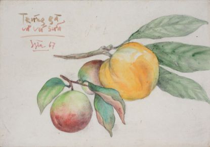 Ảnh của Tĩnh Vật Quả