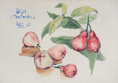 Ảnh của Tĩnh Vật Quả