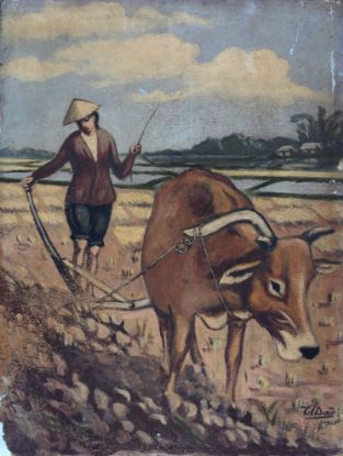 Ảnh của Cảnh Chăn Trâu