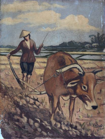 Ảnh của Cảnh Chăn Trâu